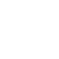 Logo neftis